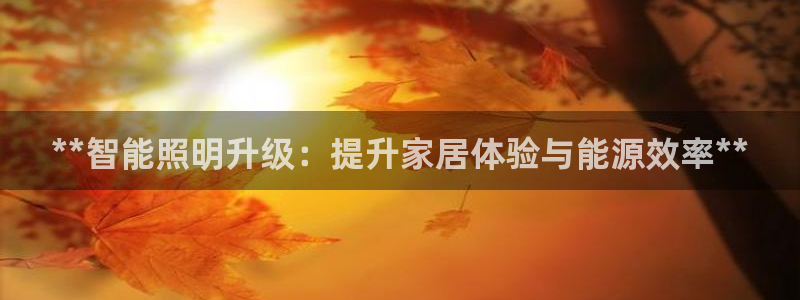 **智能照明升级：提升家居体验与能源效率**