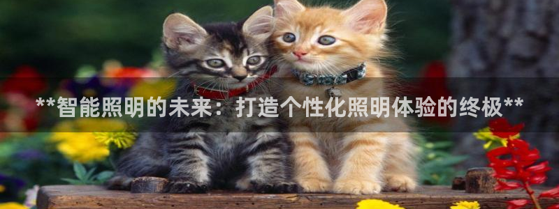 **智能照明的未来:打造个性化照明体验的终极**
