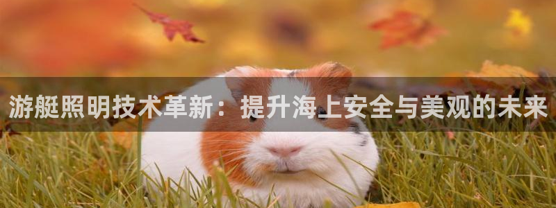 游艇照明技术革新:提升海上安全与美观的未来