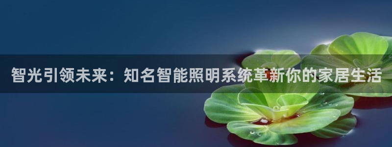智光引领未来：知名智能照明系统革新你的家居生活