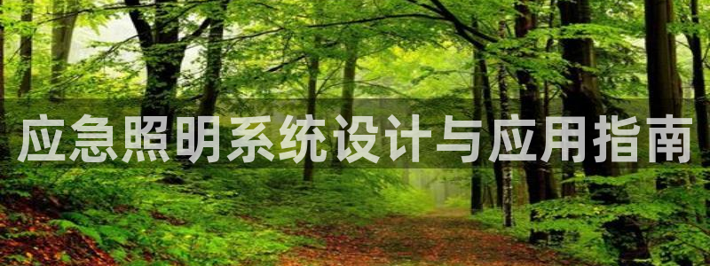 应急照明系统设计与应用指南