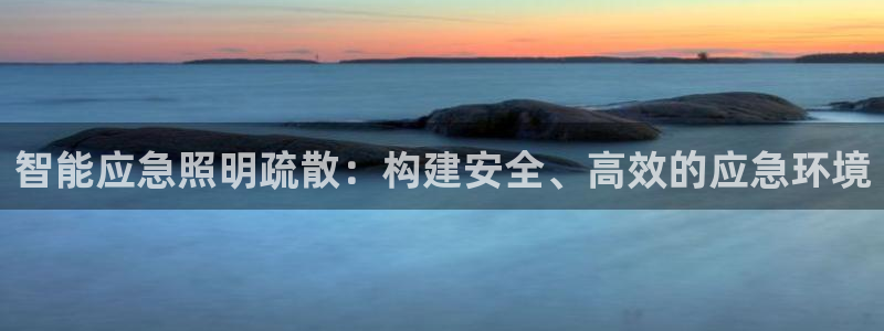 智能应急照明疏散：构建安全、高效的应急环境