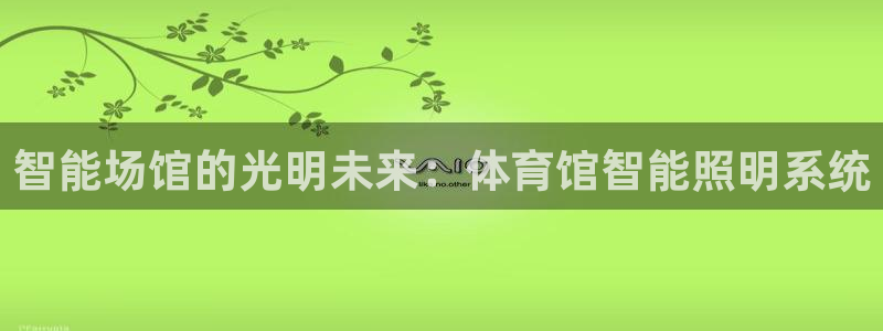 智能场馆的光明未来：体育馆智能照明系统