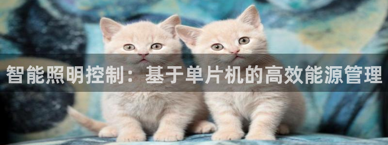 智能照明控制：基于单片机的高效能源管理