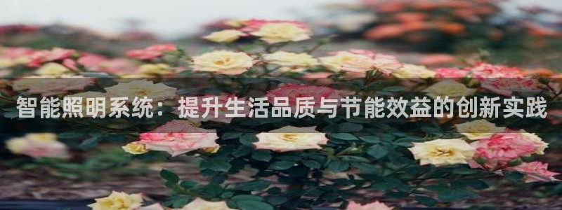 智能照明系统：提升生活品质与节能效益的创新实践