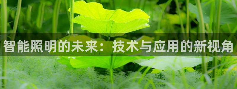 智能照明的未来:技术与应用的新视角