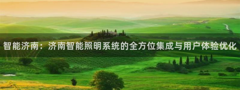 智能济南:济南智能照明系统的全方位集成与用户体验优化