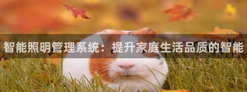 智能照明管理系统:提升家庭生活品质的智能