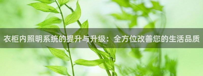 衣柜内照明系统的提升与升级:全方位改善您的生活品质