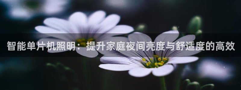 智能单片机照明:提升家庭夜间亮度与舒适度的高效