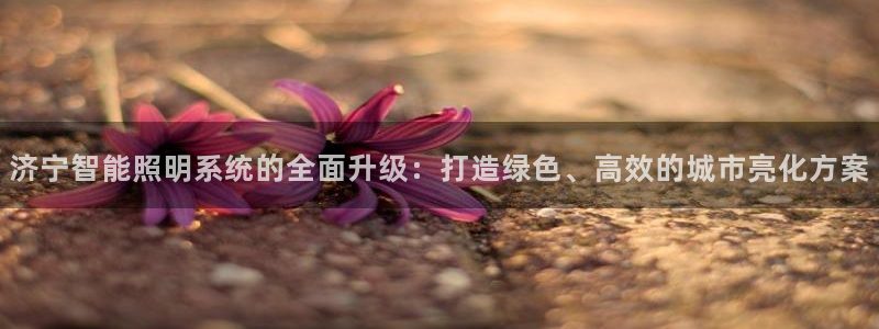 济宁智能照明系统的全面升级：打造绿色、高效的城市亮化方案