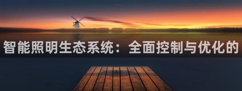 智能照明生态系统：全面控制与优化的