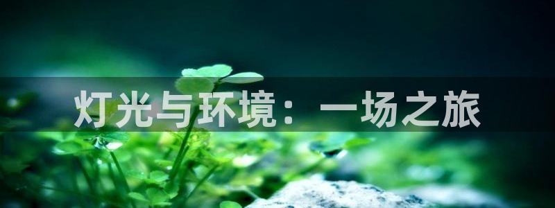 灯光与环境：一场之旅