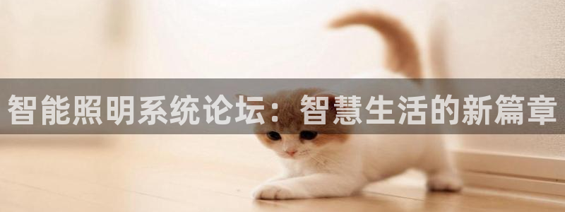智能照明系统论坛：智慧生活的新篇章