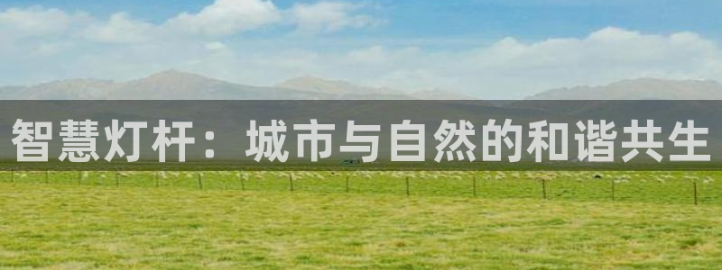 智慧灯杆：城市与自然的和谐共生