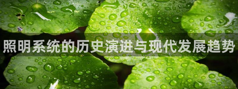 照明系统的历史演进与现代发展趋势