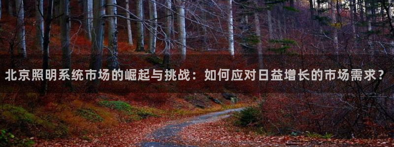 北京照明系统市场的崛起与挑战：如何应对日益增长的市场需求？