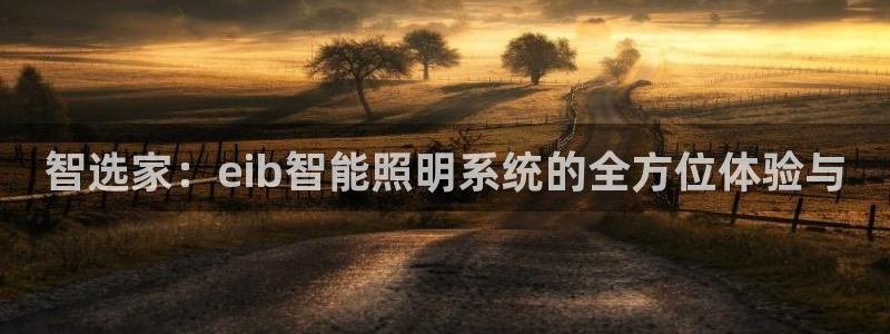 智选家：eib智能照明系统的全方位体验与