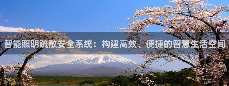 智能照明疏散安全系统：构建高效、便捷的智慧生活空间