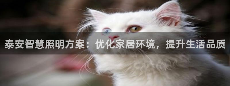 泰安智慧照明方案：优化家居环境，提升生活品质