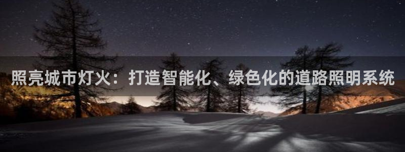 照亮城市灯火：打造智能化、绿色化的道路照明系统