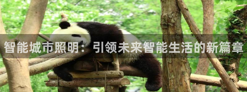 智能城市照明：引领未来智能生活的新篇章