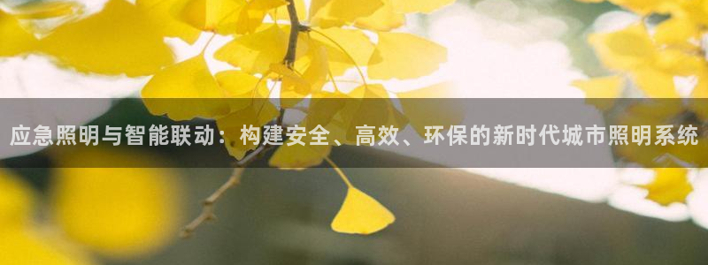 应急照明与智能联动：构建安全、高效、环保的新时代城市照明系统