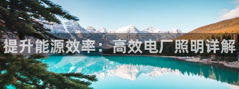 提升能源效率：高效电厂照明详解