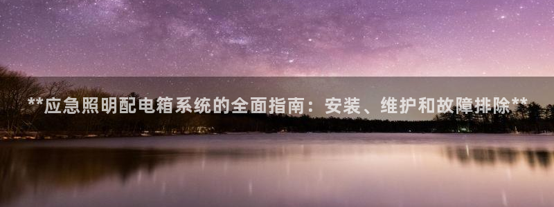 **应急照明配电箱系统的全面指南：安装、维护和故障排除**