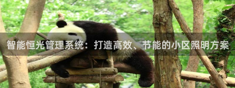 智能恒光管理系统：打造高效、节能的小区照明方案