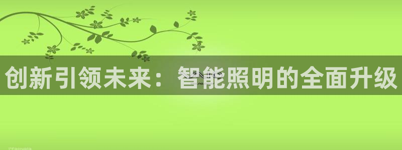 创新引领未来：智能照明的全面升级