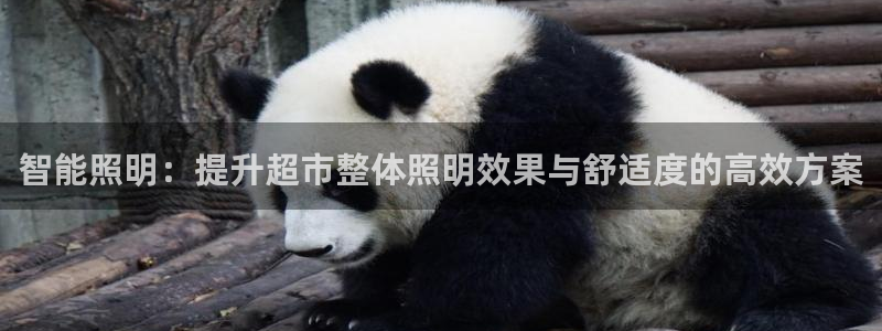 智能照明：提升超市整体照明效果与舒适度的高效方案