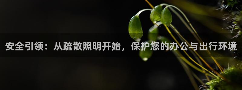 安全引领：从疏散照明开始，保护您的办公与