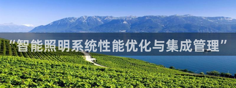 “智能照明系统性能优化与集成管理”