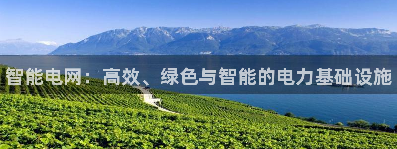 智能电网：高效、绿色与智能的电力基础设施