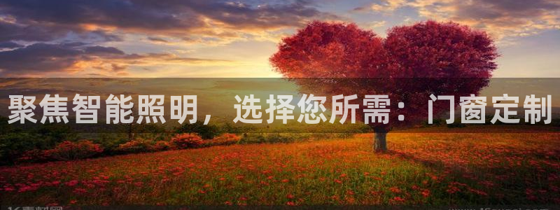 聚焦智能照明，选择您所需：门窗定制