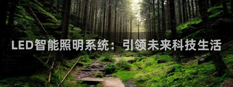 LED智能照明系统：引领未来科技生活