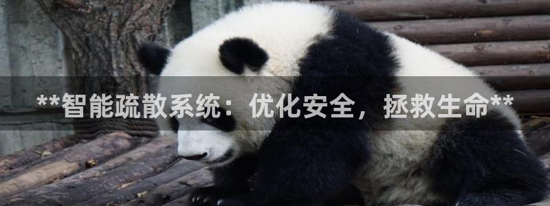 **智能疏散系统：优化安全，拯救生命**