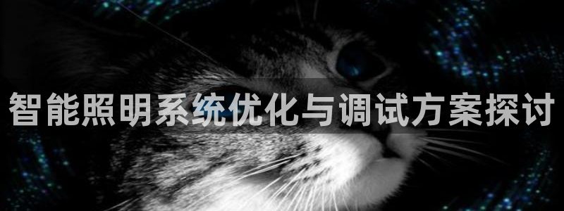 智能照明系统优化与调试方案探讨