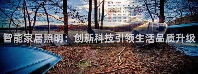 智能家居照明：创新科技引领生活品质升级