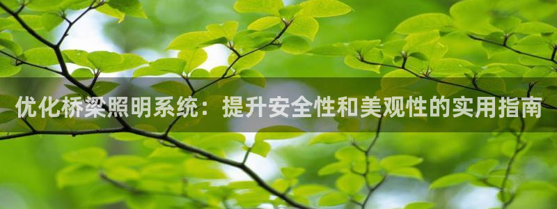 优化桥梁照明系统：提升安全性和美观性的实用指南