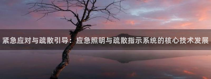 紧急应对与疏散引导：应急照明与疏散指示系统的核心技术发展