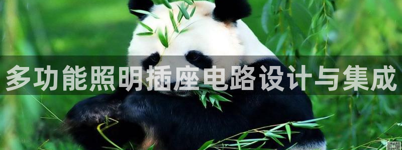 多功能照明插座电路设计与集成