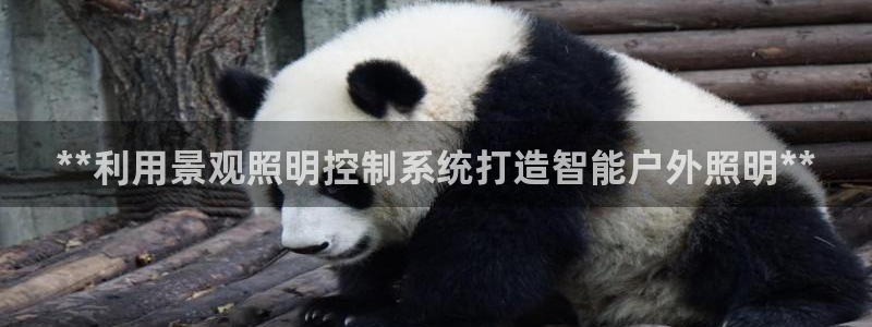 **利用景观照明控制系统打造智能户外照明**