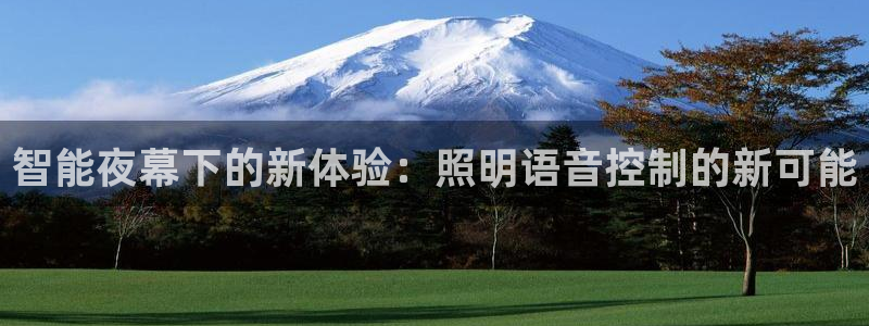 智能夜幕下的新体验：照明语音控制的新可能