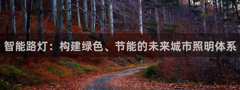 智能路灯：构建绿色、节能的未来城市照明体系