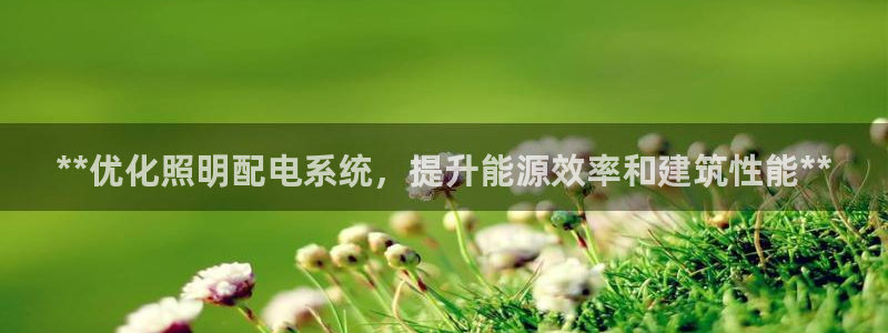 **优化照明配电系统，提升能源效率和建筑性能**