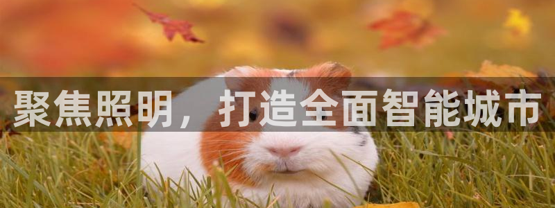 聚焦照明，打造全面智能城市