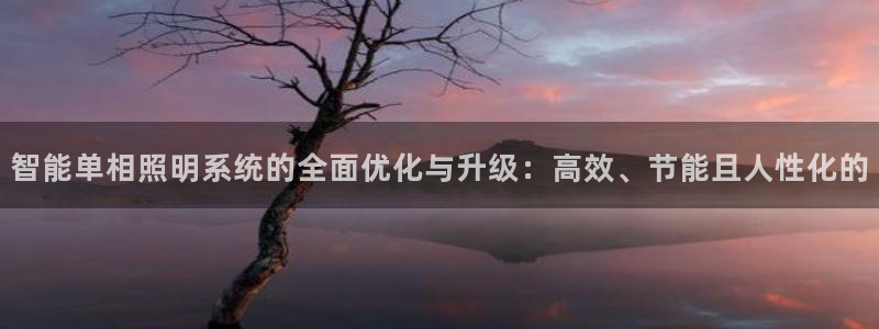 智能单相照明系统的全面优化与升级：高效、