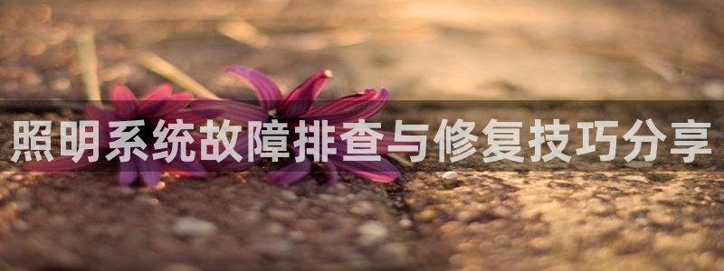 照明系统故障排查与修复技巧分享